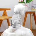 Close-up of a white dog wearing a grey and white striped turtleneck pet sweater - XS (Weight 1.5kg) / Tops / Grey and White Stripe - Heart Style