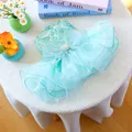Mint green pet fairy wedding dress with sequins and a large rhinestone bow decoration - XS / Dreamy Fairy Wedding Dress - Green