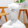 Close-up of small white dog wearing black and white striped turtleneck pet sweater - XS (Weight 1.5kg) / Tops / Black and White Stripe - Heart Style