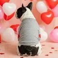 Striped dog T-shirt with red heart embroidery for small and medium pets on a pink background - XS / Grey and White Stripes with Heart Patch