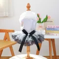 Dog summer tutu dress with white lace bodice, grey mesh skirt and a black bow accent - XS / Spinning Ballet Dress