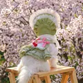 Floral pet sun hat and dress set with lace trim and cherry decor for small dogs - Green Bonnet Hat + Cherry Cake Dress
