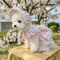 Floral pet dress and matching lace hat for small dogs shown in an outdoor cherry setting - Small Rose Bonnet Hat + Small Rose Dress