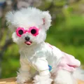 Cute dog summer outfit with knit cardigan, pink pleated skirt and flower sunglasses - XS / Bear Dress And Red Sunglasses Set