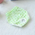 Green and white checkered pet diaper with lace trim and elastic waist for dogs - L / Green Gingham Style