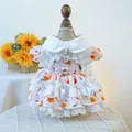 Pink floral pet dress with white lace trim and metal D-ring for small dogs and cats - XS (Chest 30cm Length 20cm) / Spring Tea Party - Calendula