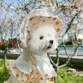 Close-up of pet sun hat with lace straps and floral mesh trim on a white dog - S / Marigold Bonnet Style