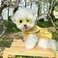 Set de verano para perro con gafas de sol de girasol y un vestido amarillo vivo - Girasol / Amarillo