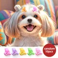 Cute tulip-shaped pet hair clips set of 10 in assorted vibrant macaron colors - Small Rose Hair Clips