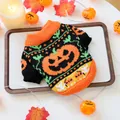 Close-up of a festive Halloween pet sweater with an orange pumpkin knit and ribbed cuffs - XS / Pumpkin Halloween Sweater