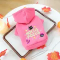 Pink pet hoodie detail with Halloween Hocus Pocus embroidery and metal leash D-ring - Hocus Pocus Embroidery (Pink)