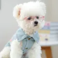 Perro pequeño con chaleco vaquero azul claro y gafas de moda rosas transparentes para mascota - Estilo Cuadrado Redondeado Rosa