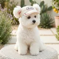 Beige canvas pet baseball hat with Love embroidery and red brim for small dogs - S / LOVE Baseball Style