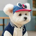 Blue and red corduroy pet baseball cap with fun goggles for small dogs and cats - S / Red Brim With White Sunglasses