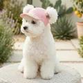 Pink pet baseball cap with colorful stripes and ear holes for small dogs and cats - S / Pink Ice Cream Baseball Style