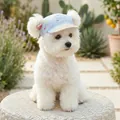 Blue and yellow striped pet baseball hat with ear holes for small dogs sun protection - S / Blue Ice Cream Baseball Style