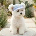 Light blue pet baseball cap with white daisy embroidery and ear holes on a white dog - S / Daisy Baseball Style