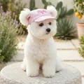 Pink pet baseball cap with embroidered bow and ear holes for small dogs in garden - S / Pink Bow Baseball Style