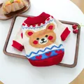 Detailed close-up of soft knit pet sweater with cartoon bear and heart patterns - Heart Bear Sweater