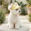 Yellow pet sun hat with cute pom-poms and cartoon bear embroidery for dogs and cats - S / Yellow Pompom Bear Style