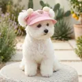 Pink pet sun hat with cute bear embroidery and dual pom-poms for dogs and cats - S / Pink Pompom Bear Style
