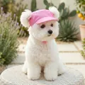 Pink pet baseball cap with bow embroidery and adjustable drawstrings for small dogs - S / Rose Red Bow Baseball Style