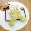 Salopette rétro en velours vert avec pull en maille crème pour petits chiens et chats - Salopettes Neuves Cui Cui