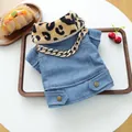 Chaqueta vaquera para perros y gatos con cuello de leopardo y adorno de cadena dorada - XS / Azul Denim con Cuello de Leopardo