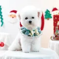 Bavoir de Noël en dentelle vert foncé avec nœud doré pour petits chiens et chats - Collier en Gaze de Noël - Vert