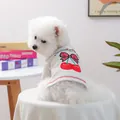 Detail of grey knitted dog vest with cherry embroidery and metal D-ring for leash - XS (Weight 1.5kg) / Tops / Beige Grey - Cherry Embroidery Style