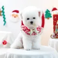 Collier en velours rose pour animaux avec grand nœud doré pailleté et dentelle blanche - Collier en Gaze de Noël - Rouge