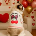 Pull en maille beige pour animaux avec broderie cerise et rayures rouges - XS / Blanc Cassé
