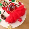 Robe de Noël pour animal rouge avec broderie dorée et jupe en tulle festive - Robe Noël Joyeux et Lumineux