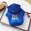Sweat à capuche bleu roi pour animaux avec imprimé FUR REAL en polaire pour chiens - Bleu Royal (Fur Real)