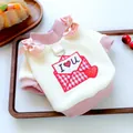 Cute pink pet sweater with bow and envelope embroidery for small dogs and cats detail shot - XS / Envelope Styles