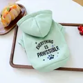 Sweat à capuche vert menthe pour animaux avec impression Everything is Pawssible - Vert Menthe (Pawssible)