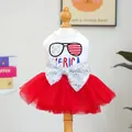 Detail van de paillettenstrik en borduursel op een patriottische tule jurk voor honden - XS / USA Sterrenlicht Gaas Jurk