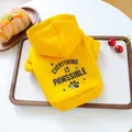 Sweat à capuche jaune pour chien avec texte Everything Is Pawssible et molleton doux - Jaune Citron (Pawssible)