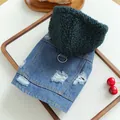 Hondenspijkerjas met groene lamswollen kraag en D-ring voor kleine huisdieren - XS / Donkerblauw Met Groene Kap
