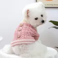 Pink cable knit dog sweater with wooden buttons on a white Bichon Frise puppy - L / Pink Cable Knit Button Sweater