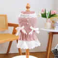 Dettagli del vestito lavorato a maglia rosa per cani con pizzo bianco e perle - XS / Rosa