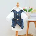Detalle de traje para mascota con camisa blanca y chaleco de lana a cuadros azul - XS / Cuadros Azules