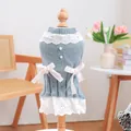 Dettaglio vestito in maglia blu per cani con pizzo, perle e fiocchi di nastro - XS / Blu
