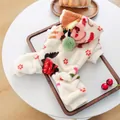 Detailed view of plush beige pet jumpsuit featuring cartoon pig and cherry patterns - XS / Beige Cartoon