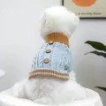 Detail der Strickstruktur eines dicken hellblauen Hundepullovers mit braunen Knöpfen und Kragen - XS / Blau