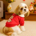 Red festive pet sweater with lucky embroidery and white fleece collar for small dogs - XS / New Year Outerwear - Golden Blessing