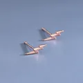 Minimalistische S925 Sterling Silber Blitz-Ohrstecker in Roségold-Ausführung - Blitz-Stil (BLN212E) / Roségold