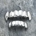 Polished silver hiphop grillz set with sharp canine teeth design on grey rock background - Upper Fang And Lower Flat / Silver