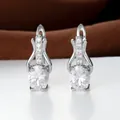 Elegante silberne Ohrringe mit ovalem klarem Kristall und funkelndem Pavé-Besatz - Weißgold Mit Weißem Zirkonia