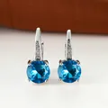 Orecchini a monachella con pietre blu tonde e finitura in metallo argentato lucido - Oro Rosa Blu Chiaro Zirconia
